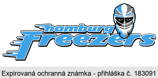 hamburg freezers