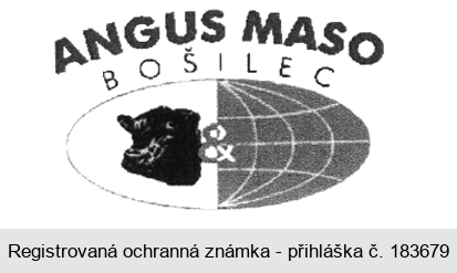 ANGUS MASO BOŠILEC