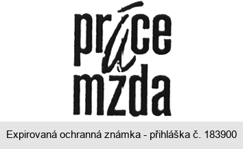 práce mzda