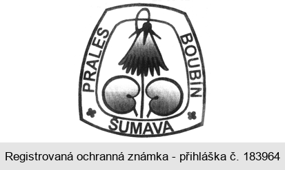 PRALES BOUBÍN ŠUMAVA