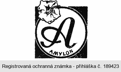 A AMYLON