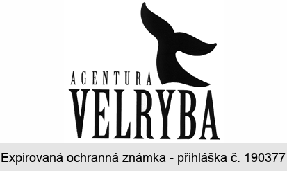 AGENTURA VELRYBA