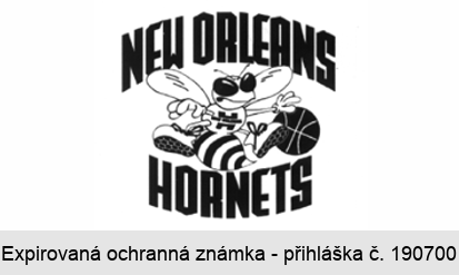 NEW ORLEANS HORNETS