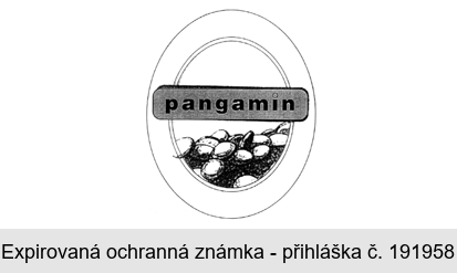 pangamin