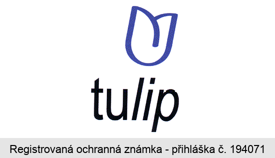 tulip