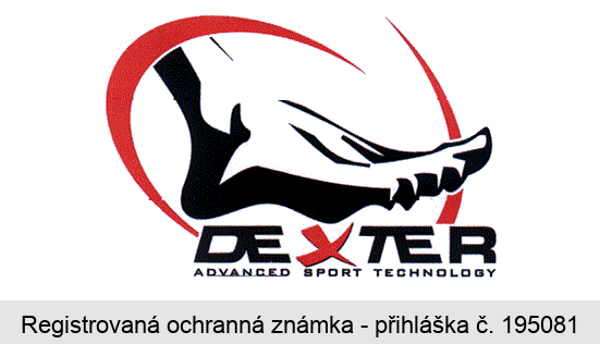 DEXTER  ADVANCED SPORT TECHNOLOGY