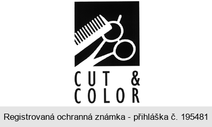 CUT & COLOR