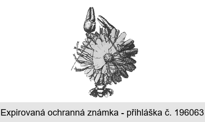 Ochranná známka