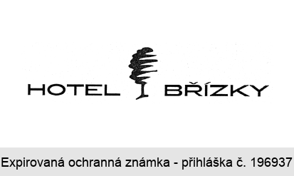 HOTEL BŘÍZKY