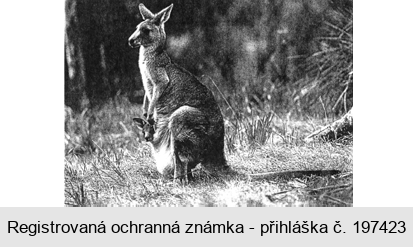 Ochranná známka