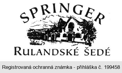SPRINGER RULANDSKÉ ŠEDÉ