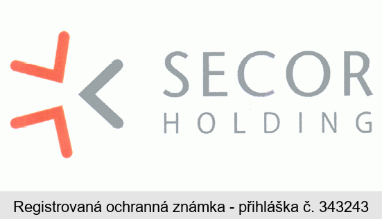 SECOR HOLDING