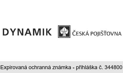 DYNAMIK ČESKÁ POJIŠŤOVNA