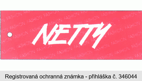 NETTY