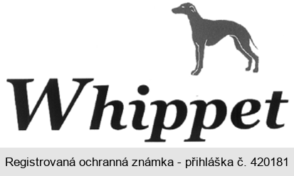 Whippet