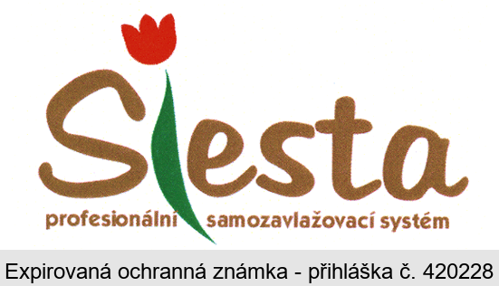 Siesta profesionální samozavlažovací systém