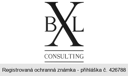 BXL CONSULTING