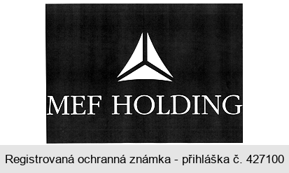 MEF HOLDING