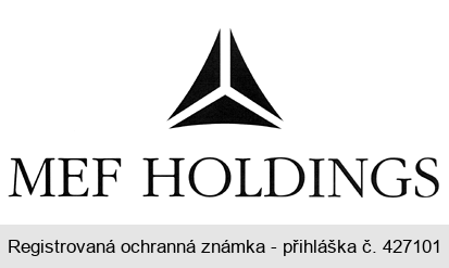 MEF  HOLDINGS