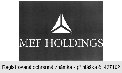 MEF HOLDINGS