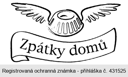 Zpátky domů