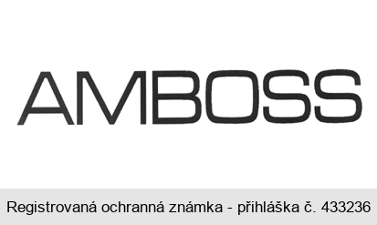 AMBOSS