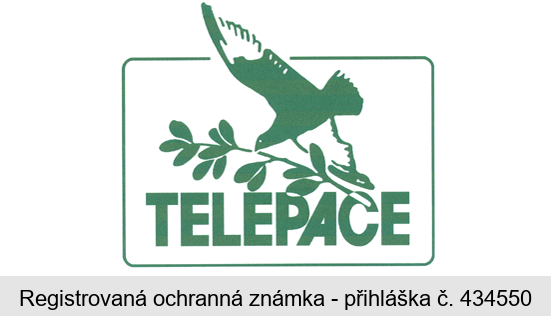 TELEPACE