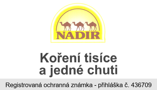 NADIR Koření tisíce a jedné chuti