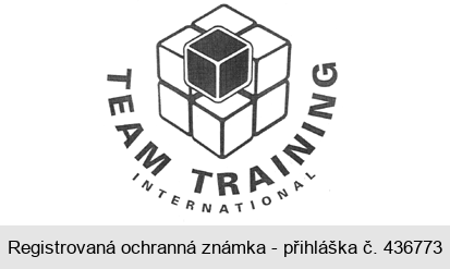 TEAM TRAINING INTERNATIONAL