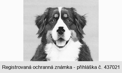 Ochranná známka