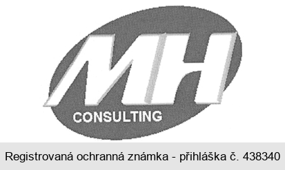 MH CONSULTING