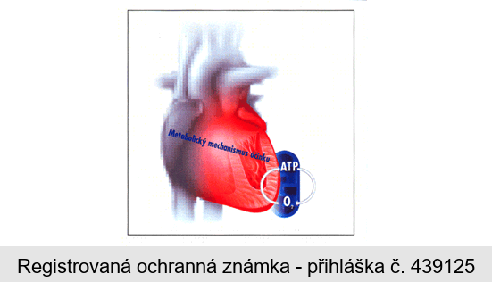 Metabolický  mechanismus účinku ATP O2