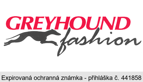 GREYHOUND fashion