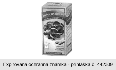 HLÍVA ÚSTŘIČNÁ PLEUROTUS OSTREATUS TEREZIA COMPANY Doplněk stravy