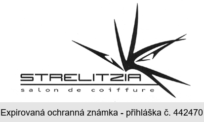 STRELITZIA salon de coiffure