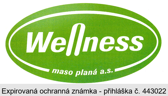 Wellness maso planá a.s.