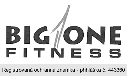 BIG 1 ONE FITNESS