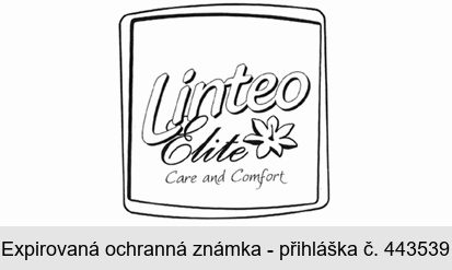 Linteo Elite Care and Comfort