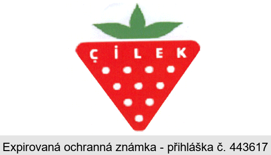 cilek