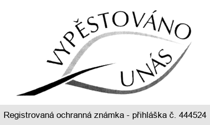 VYPĚSTOVÁNO U NÁS