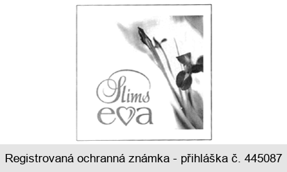 Slims e a