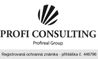 PROFI CONSULTING Profireal Group