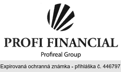 PROFI FINANCIAL Profireal Group