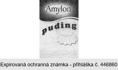 Amylon puding