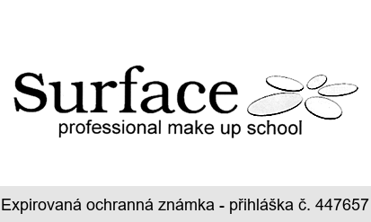 Surface professional make up school