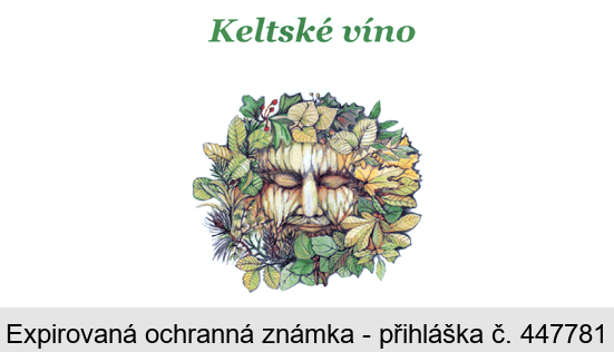 Keltské víno