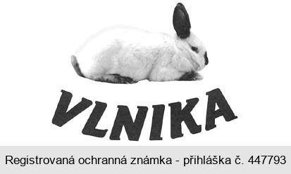 VLNIKA