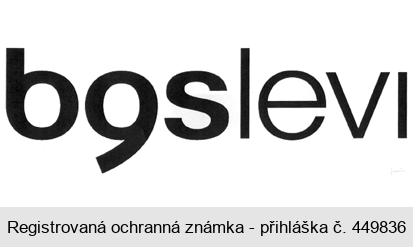 bgslevi