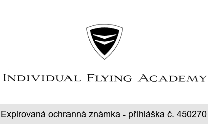 INDIVIDUAL FLYING ACADEMY