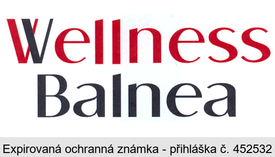 Wellness Balnea